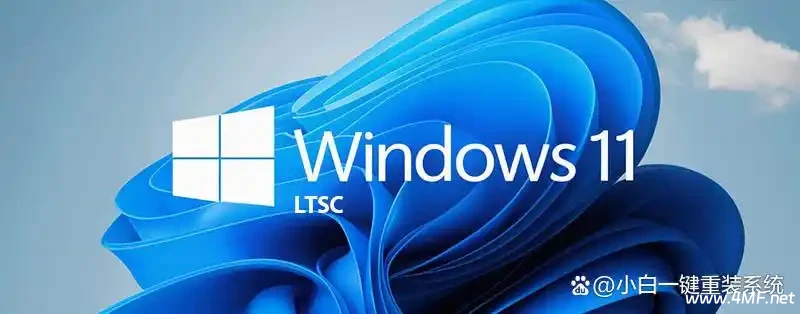 Windows 11 企业版 LTSC 与 Windows 11 企业版 区别