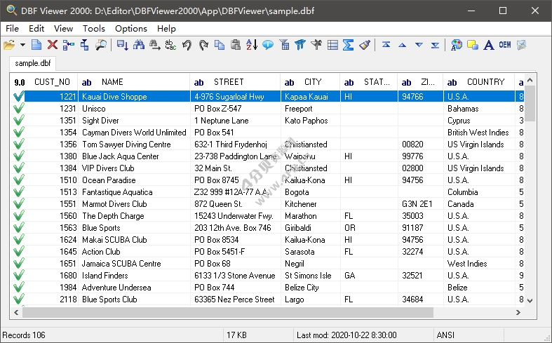 DBF文件查看和编辑工具 DBF Viewer 2000 v8.84 注册便携版-纯净分享