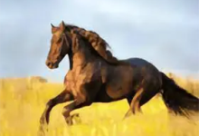 YourTV 你的电视TV v2.1.6-纯净分享