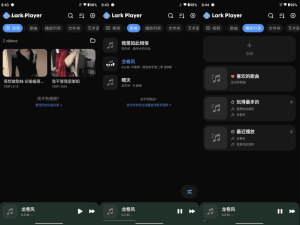 Lark Player 云雀播放器 v6.30.5 高级版