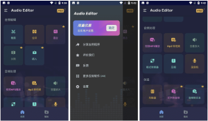 Audio Editor Pro v2.01.16.0929，一款功能强大的音频编辑器