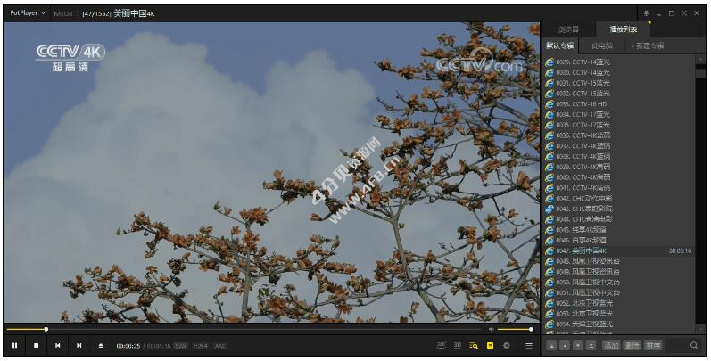 播放器PotPlayer 250926(1.7.22622) x64 Stable 正式版去除广告绿色版-纯净分享