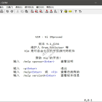 Vim v9.1.1825 中文绿色版(支持多种编程语言编辑器)