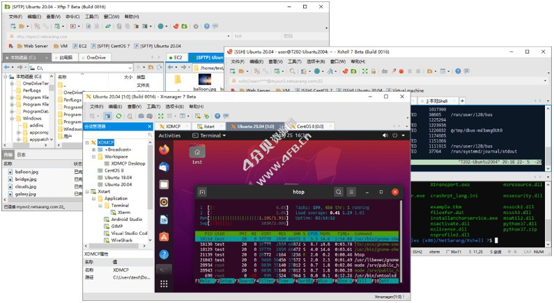 Xshell8/Xftp8/Xmanager8_2025.07.16_免激活服务器管理工具包Netsarang All Products-纯净分享