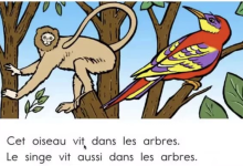 顶点教育|少儿法语课 French for youth-纯净分享