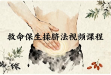 救命保生揉脐法视频课程-纯净分享
