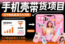 手机壳带货项目实操指南，低粉账号卖出几十万件-纯净分享