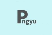 Pngyu v1.0.5 中文绿色版｜PNG 图像批量压缩工具-纯净分享