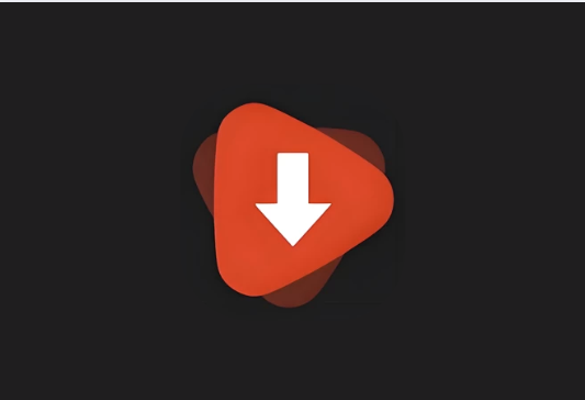 WDownloader v1.6.29 解锁高级版|手机端视频下载工具