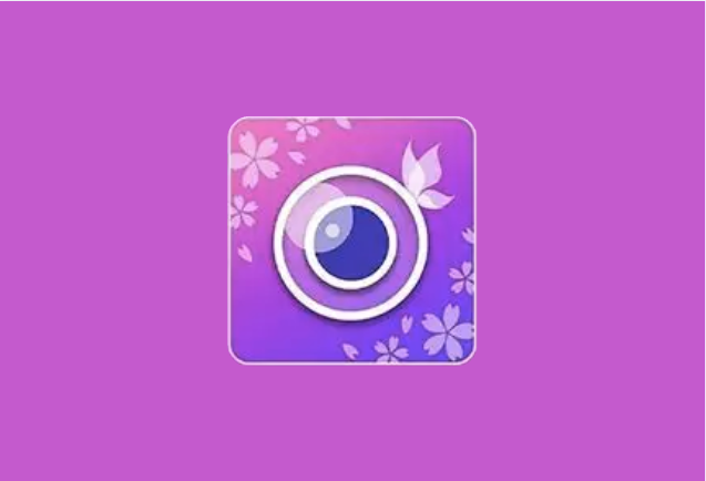 玩美相机 YouCam Perfect v6.18.4 解锁高级会员版