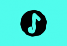 Salt Player 椒盐音乐 v11.1.0 无广告纯净版|本地音乐播放器-纯净分享