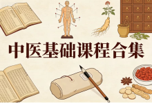 中医基础课程合集（全系列完结）-纯净分享