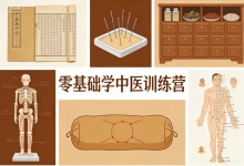 零基础学中医训练营（完结・视频+讲义全套）-纯净分享