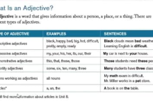 Great Writing 外教精讲课-纯净分享