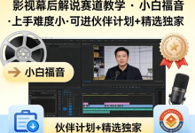 影视幕后解说赛道教学,小白福音,可进伙伴计划+精选独家-纯净分享