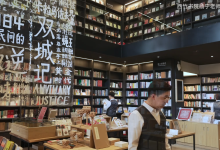 B站 - 杨宁老师的文学启示课,解锁经典作品的深层意义与审美体验-纯净分享
