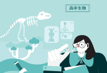 学而思高中9科知识点汇编+知识手册合集-纯净分享