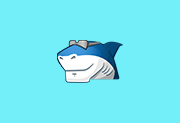 多媒体编解码器套件 Shark007 Codecs v20.9.2 便携版