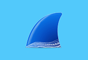 网络抓包工具 Wireshark v4.6.8 / 4.7.3 Dev 集成驱动库中文便携版